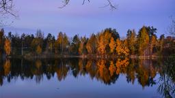 Ferieboliger i Leningrad