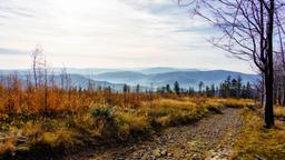 Ferieboliger i Schlesiske voivodskap